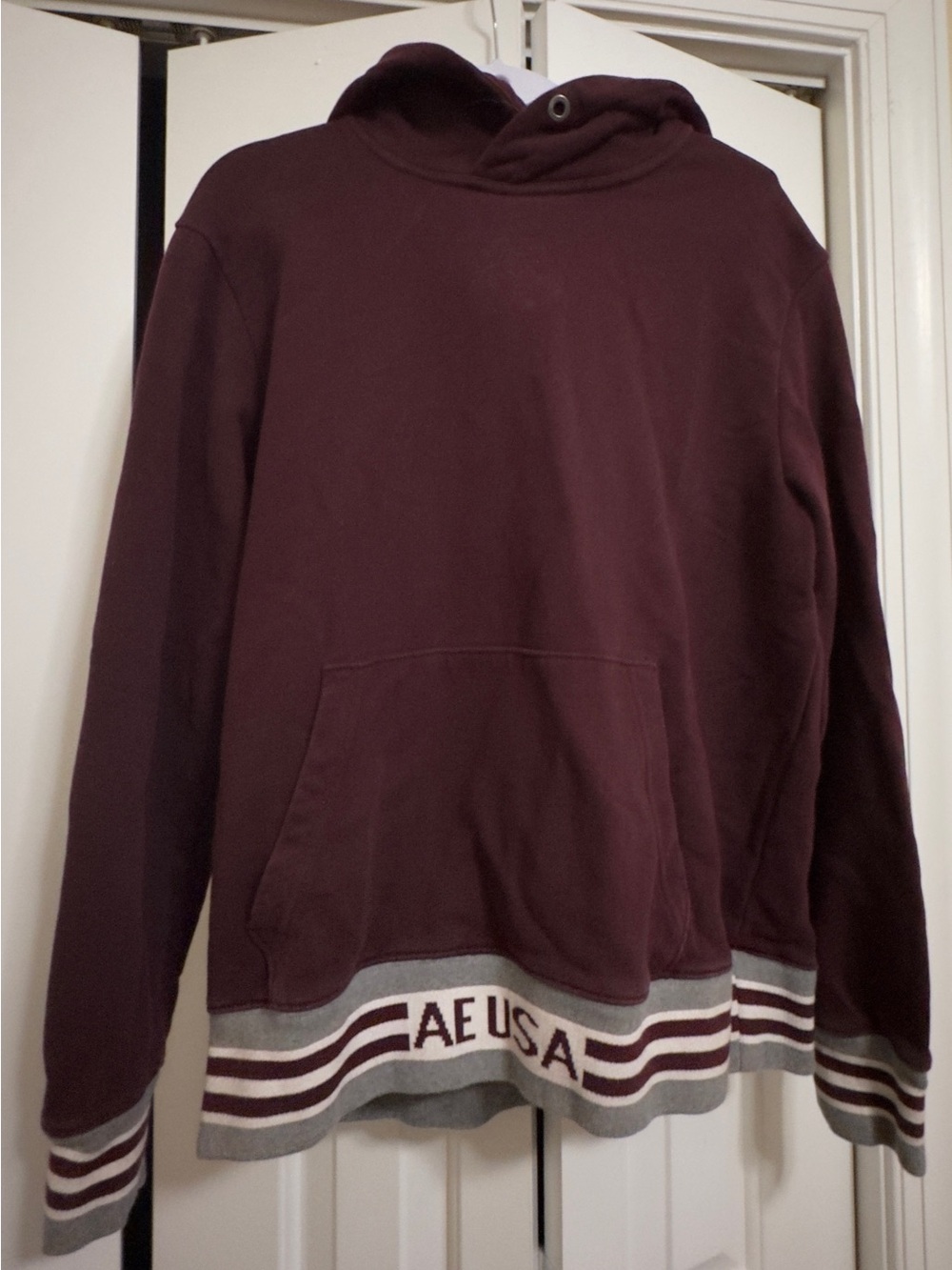 American Eagle Burgundy Hoodie